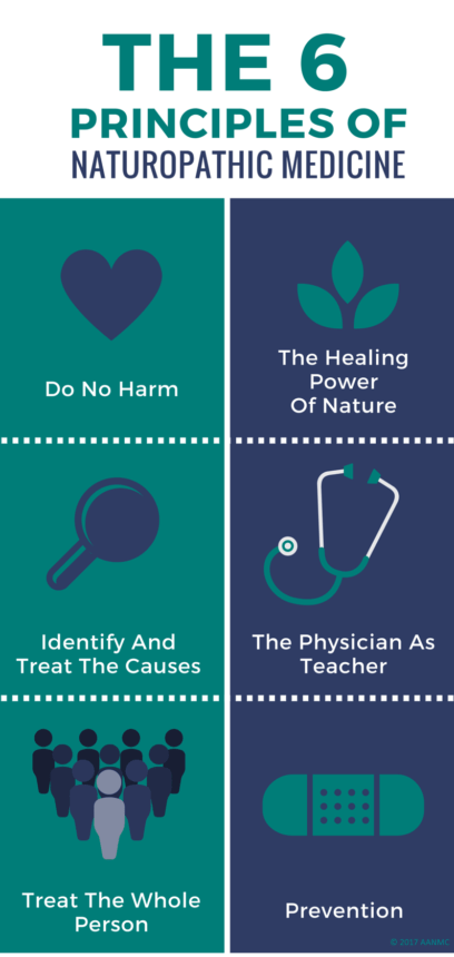 6 naturopathic principles